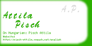 attila pisch business card